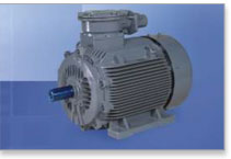 Flameproof BBL Motor